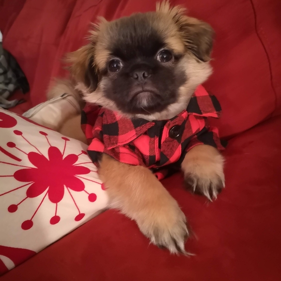 Meet Seller - Picture 1 of 1